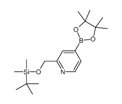 2-((叔丁基二甲基甲硅烷基氧基)甲基)-4-(4,4,5,5-四甲基-1,3,2-二噁硼烷-2-基)吡啶