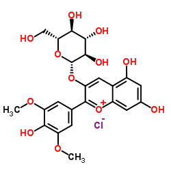 氯化芍药素-3-O-阿拉伯糖苷
