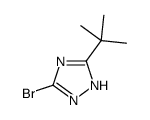 5-溴-3-叔丁基-1H-1,2,4-三唑