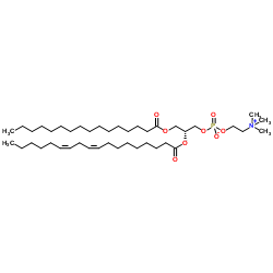 L-α-磷脂酰胆碱