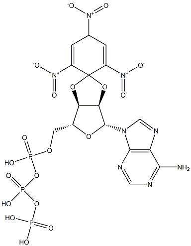 2',3'-O-(2,4,6-三硝基-2,5-环己二烯-1-亚基)腺苷 5'-(三磷酸四氢酯)