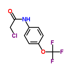 N-氯乙酰-4-(三氟甲氧基)苯胺