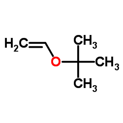 叔丁基乙烯基醚 (926-02-3)