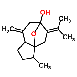Isocurcumenol