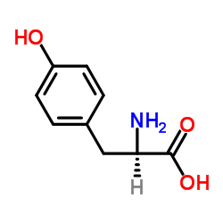 D-酪氨酸 (556-02-5)