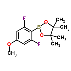 2,6-二氟-4-甲氧基苯硼酸频呢醇酯