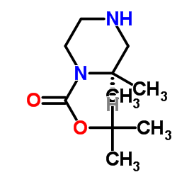 (R)-1-N-BOC-2-甲基哌嗪