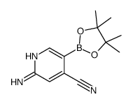 2-氨基-4-氰基吡啶-5-硼酸频那醇酯 (944401-73-4)