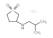 (1,1-二氧代-四氢-1lambda*6*-噻吩-3-基)-异丁基-胺盐酸盐