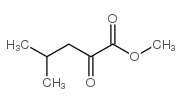 2-氧代-4-甲基戊酸甲酯