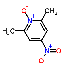 2,6-二甲基-4-硝基吡啶 1-氧化物