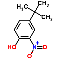 2-硝基-4-叔丁基苯酚 (3279-07-0)
