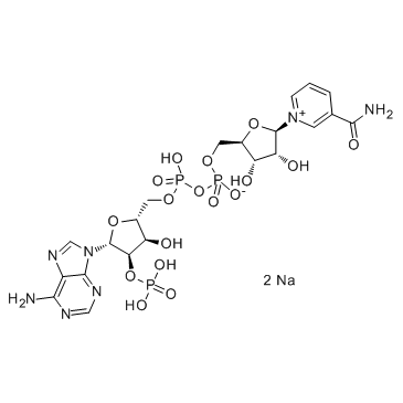 β-烟酰胺腺嘌呤二核苷酸磷酸二钠盐 98.0%