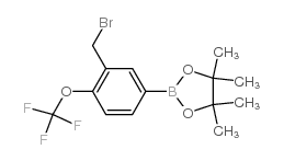 (3-溴甲基-4-三氟甲氧基苯硼酸频那醇酯