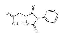 苯基硫代乙内酰脲-天冬氨酸