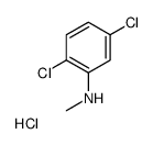 2,5-二氯-N-甲基苯胺盐酸盐 (1193389-58-0)