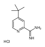 4-叔丁基吡啶甲酰胺盐酸盐