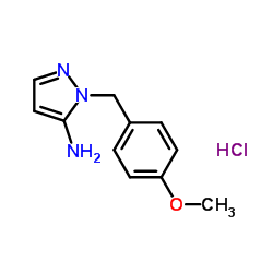 1-[(4-甲氧基苯基)甲基]-1H-吡唑-5-胺盐酸盐