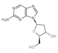 2-氨基-9-(beta-d-2-脱氧核糖)嘌呤