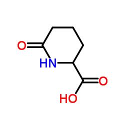 6-氧代哌啶-2-甲酸
