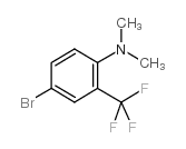 4-溴-N,N-二甲基-3-三氟甲基苯胺