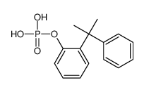 (1-甲基-1-苯基乙基)苯酚磷酸酯