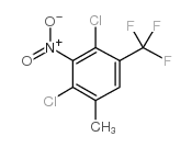 2,4-二氯-5-三氟甲基-3-硝基甲苯