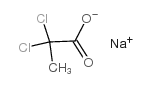 2,2-二氯丙酸