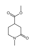 甲基-1-甲基-2-氧代-4-哌啶羧酸