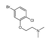 2-(5-溴-2-氯苯氧基)-N,N-二甲基乙胺