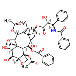 6α-hydroxy Paclitaxel
