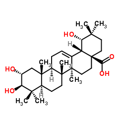 2-氯肉桂酸