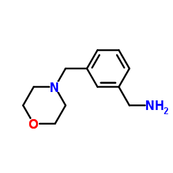 [3-(吗啉甲基)苯基]甲胺
