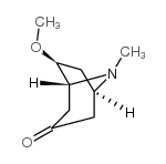 6B-甲氧基-3-托品酮