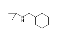 N-(环己基甲基)叔丁胺