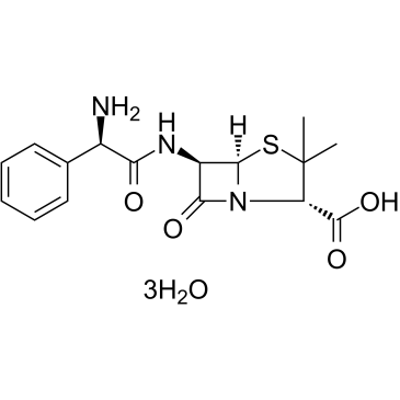 氨苄青霉素 (7177-48-2)