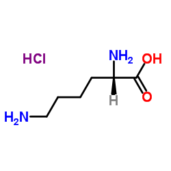 (S)-2,6-二氨基己酸x盐酸盐