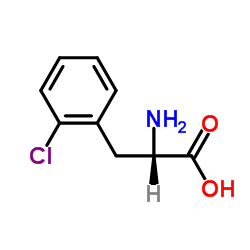 L-2-氯苯丙氨酸