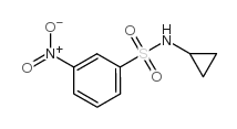 N-环丙基-3-硝基苯磺酰胺