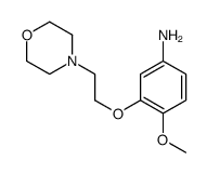 4-甲氧基-3-(2-吗啉乙氧基)苯胺