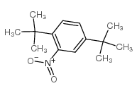 2,5-二叔丁基硝基苯
