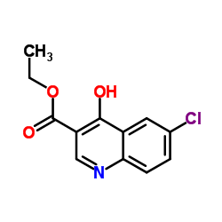 6-氯-4-羟基-3-喹啉羧酸乙酯