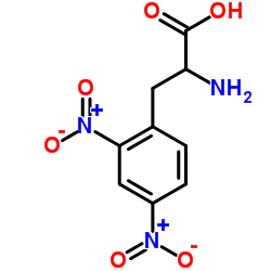 (S)-2-氨基-3-(2,4-二硝基苯基)丙酸