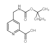 4-((tert-butoxycarbonylamino)methyl)picolinic acid