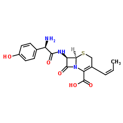 (6S,7R)-7-((R)-2-氨基-2-(4-羟基苯基)乙酰胺基)-8-氧代-3-((E)-丙基-1-烯-1-基)-5-噻-1-氮杂双环[4.2.0]辛-2-烯-2-羧酸 97% mix TBC as stabilizer