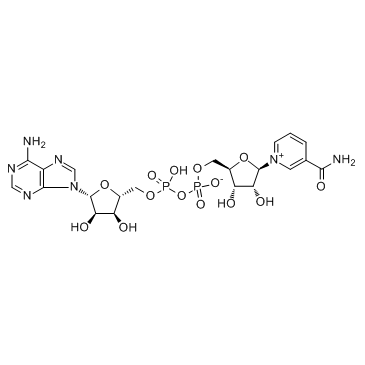β-烟酰胺腺嘌呤二核苷酸 98.0%