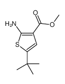 2-氨基-5-叔丁基噻吩-3-甲酸甲酯