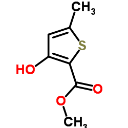 3-羟基-5-甲基-2-噻吩羧酸甲酯