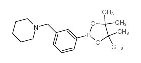 1-[3-(4,4,5,5-四甲基-1,3,2-二噁硼烷-2-基)苄基]哌啶