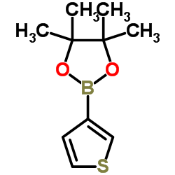 噻吩-3-硼酸频哪醇酯 (214360-70-0)